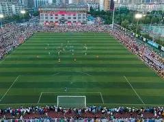 独家揭秘,塔帅坚定留,队决心,MG,MG平台,MG官网,MG,MG百家乐,MG