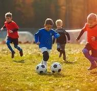 独家揭秘,国足新帅之,争白热化,MG,MG平台,MG官网,MG,MG百家乐,MG