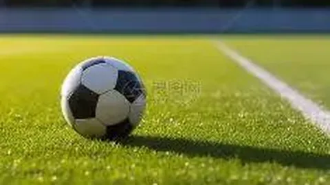 独家揭秘：巴林顶级裁判团领衔，哈利勒执掌牛刀！国安河内对决，焦点大战即将上演！