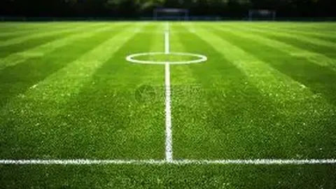 欧冠焦点：巴黎圣曼VS摩纳哥周三007专家推荐